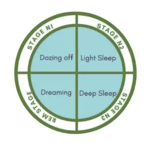 90 minutes sleep cycle